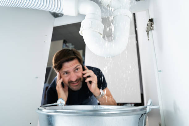 Best Affordable Plumber Near Me  in Chesilhurst, NJ